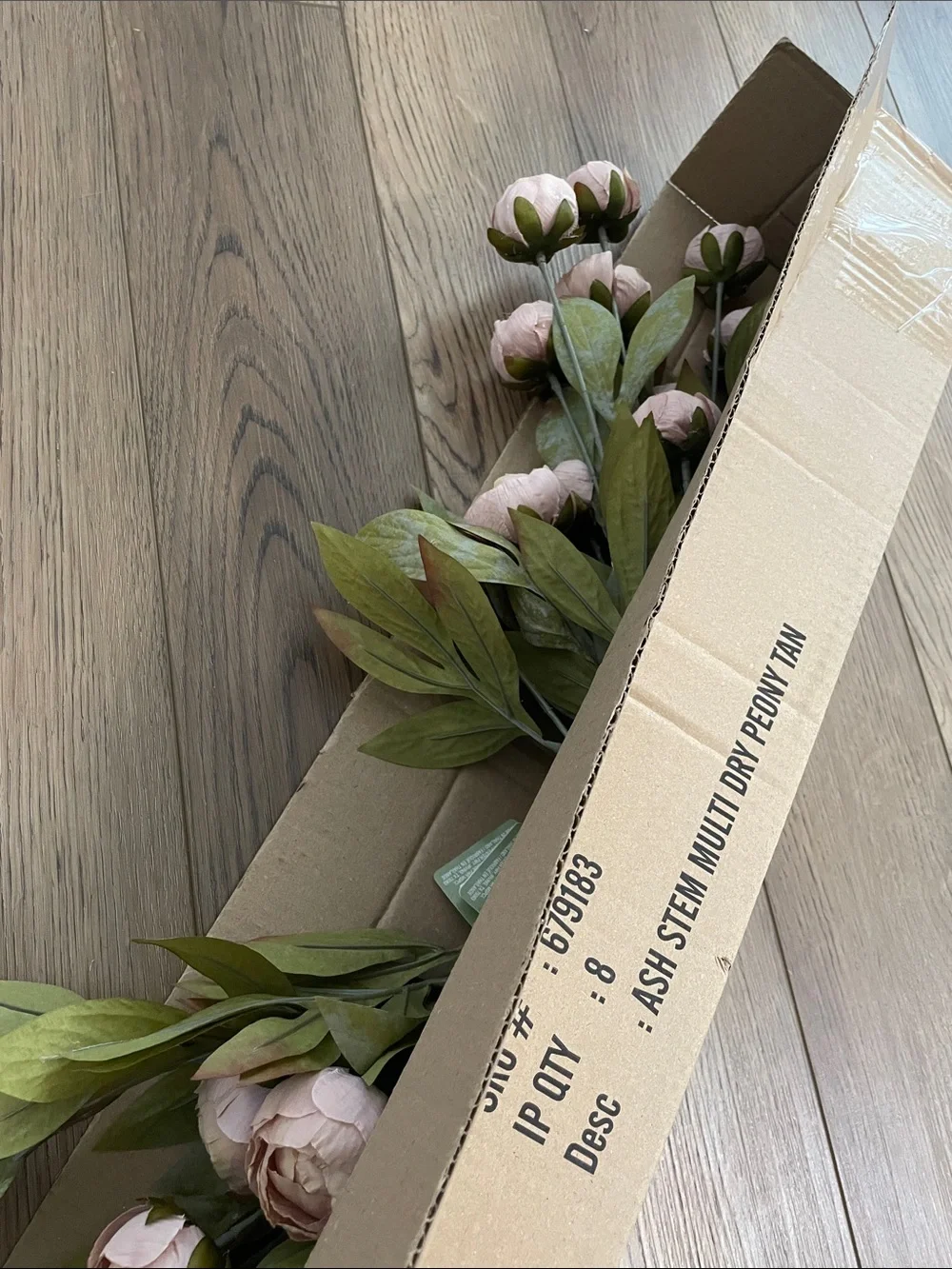 (8) Tan Peony Stems by Ashland‎ NEW